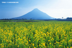 開聞岳