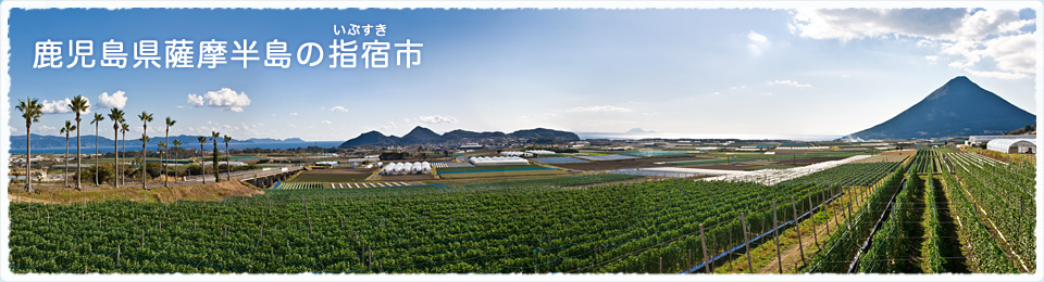 PR画像1