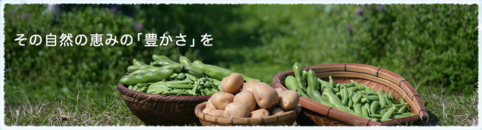 PR画像3