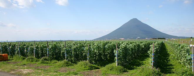 farmland.jpg